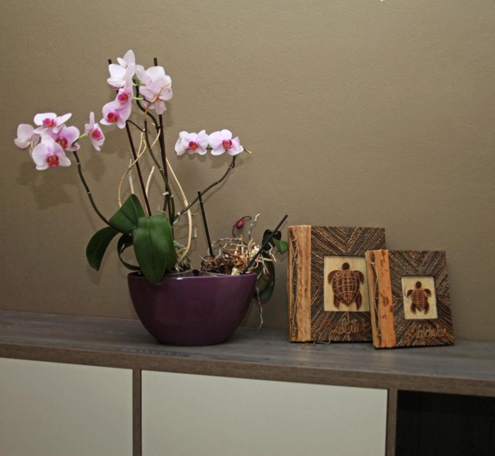 דורס Main Square Apartment מראה חיצוני תמונה